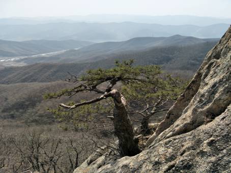 ˵��: IMG20170403125320